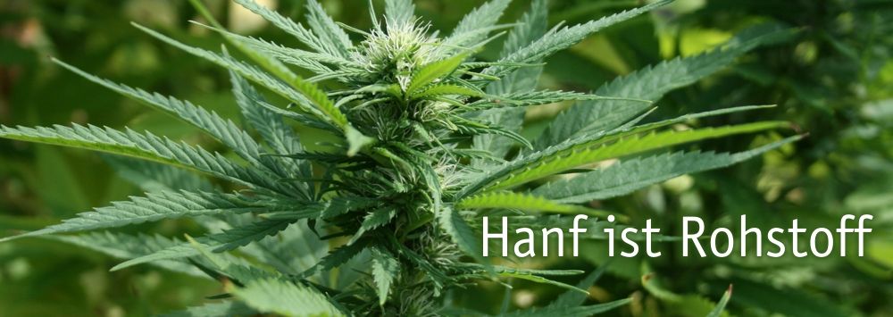 BAFA Neu GmbH - Der Hanfpionier - Hemp Pioneer