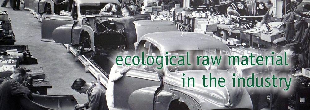 BAFA Hemp in Construction