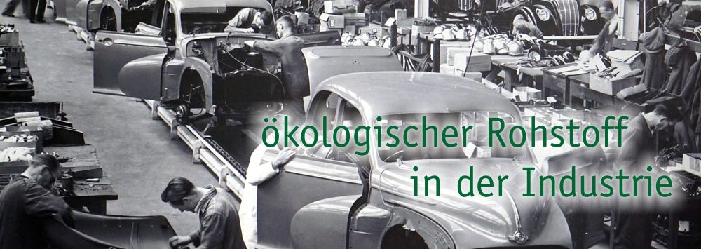 BAFA Hanf im Bauwesen - Hemp in construction